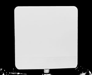 RADWIN 2000 Alpha 5GHz ODU - 500Mbps Aggregate