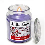 Lilly Lane Winter Berries Scented Candle Large Lidded Mason Glass Jar – Wax Capacity 510grams, Burn Time Up to 75 Hours, High Quality Premium paraffin wax, Natural Material Wick , 100% recyclable, Large Lidded Mason Glass Jar Retail Box No warranty