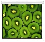 Esquire Electric Projector Screen 300 X 169, Retail Box , 1 year Limited Warranty