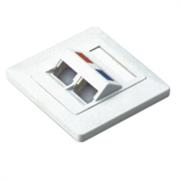 NetiX Angled Face Plate Dual Port with Shuttle, Retail Box, No Warranty.