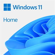 Microsoft Windows 11 Home DVD Single User License, DSP , No Warranty on Software
